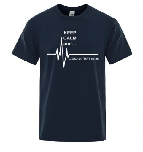 Zdjęcie oferty: T-shirty męski Keep calm and...