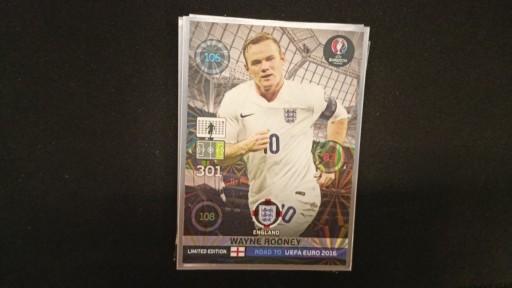 Zdjęcie oferty: Panini Road To Euro 2015 Limited Edition Wayne Roo