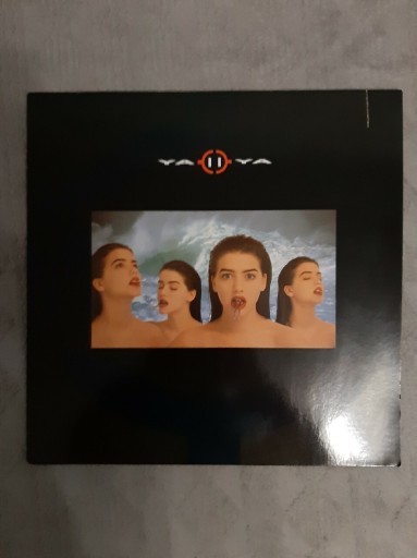 Zdjęcie oferty: Płyta Winylowa-grupa rock Ja Ja