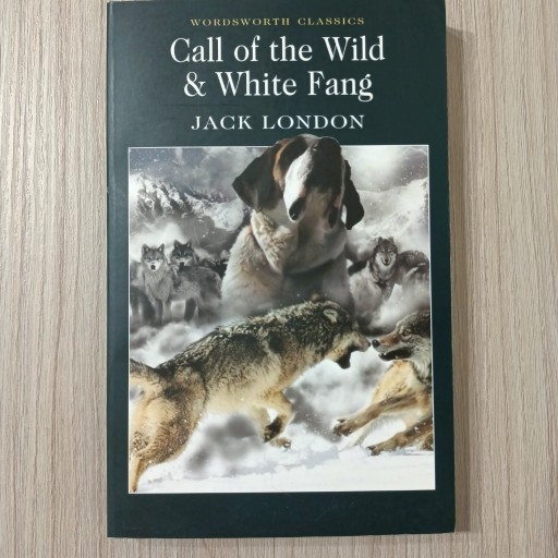 Zdjęcie oferty: Call of the wild & white fang biały kieł angielski