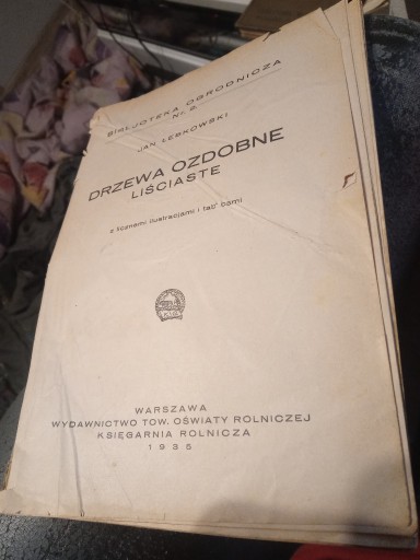 Zdjęcie oferty: Drzewa ozdobne liściaste 1935