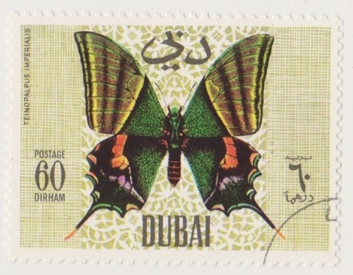 Zdjęcie oferty: mi 295 Kaiser-I-Hind Teinopalpus imperialis Dubaj