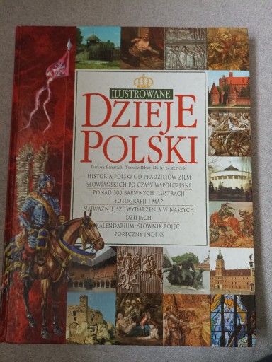 Zdjęcie oferty: Ilustrowane dzieje Polski