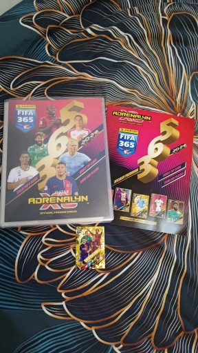 Zdjęcie oferty: Album panini  fifa 2024 plus 280 kart 