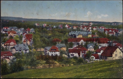 Zdjęcie oferty: Panorama Bad Altheide - Polanica Zdrój