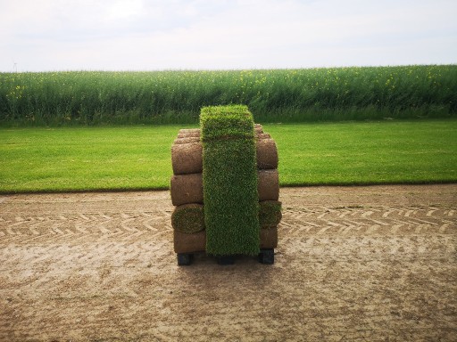 Zdjęcie oferty: Trawa w rolce , trawniki rolowane , trawa z rolki