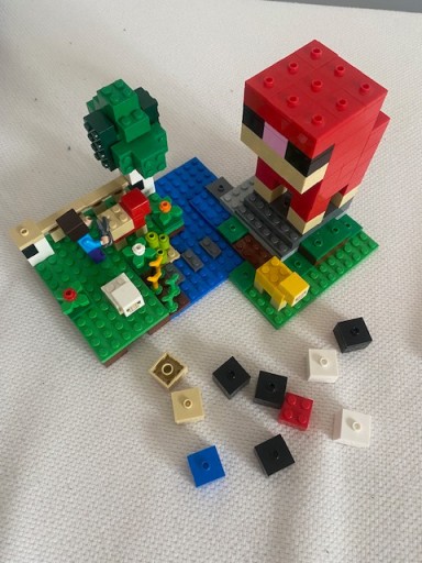 Zdjęcie oferty: Lego 21153 Minecraft