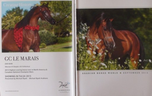 Zdjęcie oferty: ARABIAN HORSE WORLD nr 9/2015, koń, konie arabskie