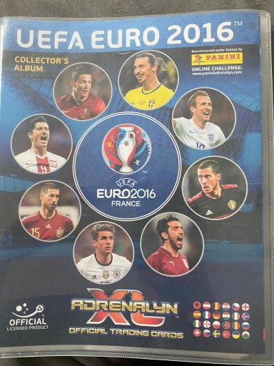 Zdjęcie oferty: Karty UEFA EURO 2016