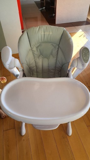 Zdjęcie oferty: Krzesło huśtawka do karmienia caretero