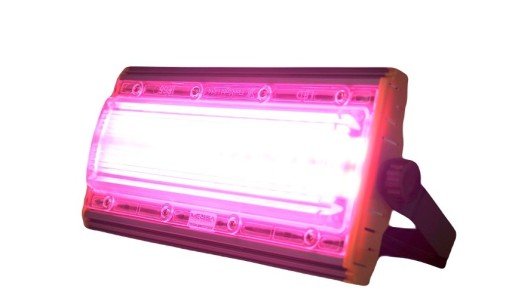 Zdjęcie oferty: Polska lampa LED GROW COB Full Spectrum dla roślin