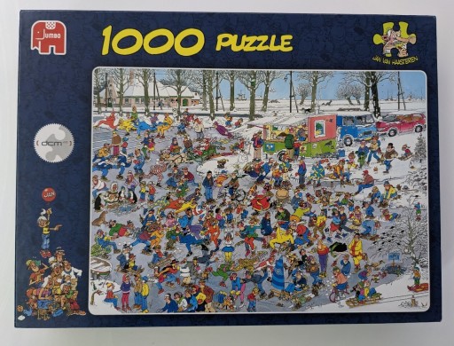 Zdjęcie oferty: Puzzle Lodowisko - 1000 elementów Jumbo - Haastern