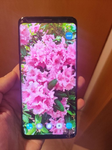 Zdjęcie oferty: Smartfon Samsung S9+