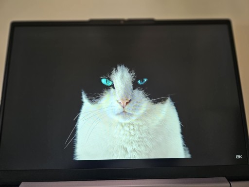 Zdjęcie oferty: Laptop Lenovo ThinkBook 14 G4+ i5-1235U 16:10 8GB 256SSD W11P