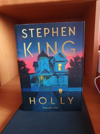 Zdjęcie oferty: Holly - Stephen King