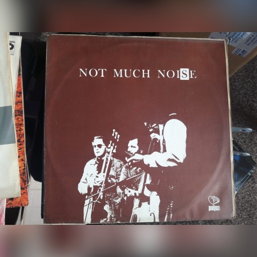 Zdjęcie oferty: NOT MUCH NOISE - winyl