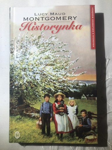 Zdjęcie oferty: Historynka Montgomery