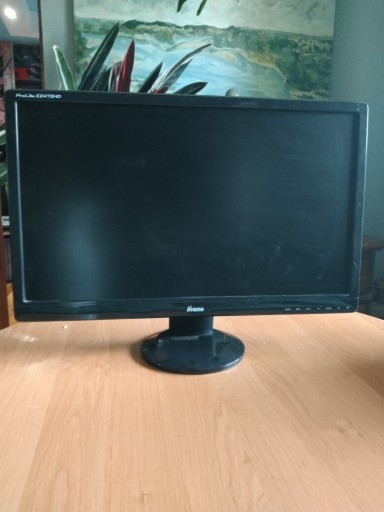 Zdjęcie oferty: Monitor Iiyama ProLite E2472HD, 24"