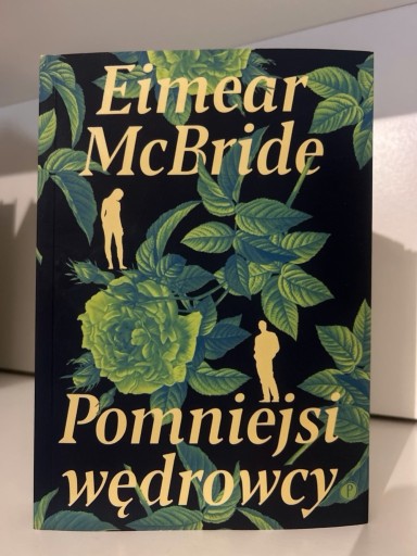 Zdjęcie oferty: Pomniejsi wędrowcy - Eimear McBride