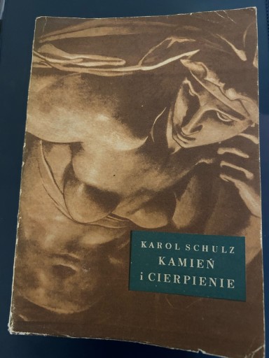 Zdjęcie oferty: Kamień i cierpienie