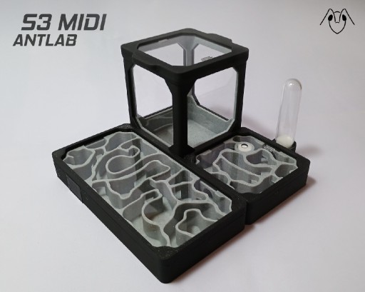 Zdjęcie oferty: Formikarium Midi - Terrarium Dla Mrówek 140x140