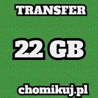 Zdjęcie oferty: Bezterminowy transfer na chomikuj 22 GB  bez limitu czasu...