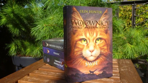 Zdjęcie oferty: WOJOWNICY TOM 3 "Świt" Erin Hunter