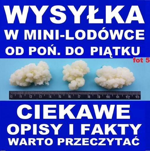 Zdjęcie oferty: GRZYBEK TYBETAŃSKI na wiejskim mleku 15g ULOTKA4A4