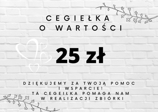 Zdjęcie oferty: Cegiełka na zbiórkę