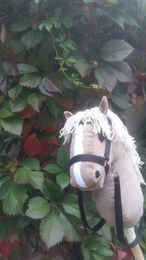 Zdjęcie oferty: Hobby Horse - konik na kiju