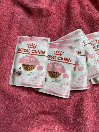 Zdjęcie oferty: Royal Canin Kitten