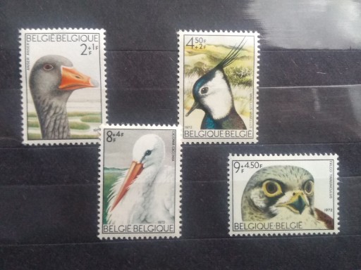 Zdjęcie oferty: Znaczki Belgia 1972 fauna ptaki 