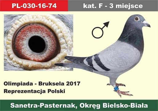 Zdjęcie oferty: Olimpijczyk z Brukseli 2017r