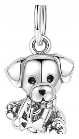 Zdjęcie oferty: CHARMS piesek labrador zawieszka s925 