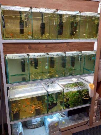 Zdjęcie oferty: Zestaw akwariowy akwaria z filtrami lampami