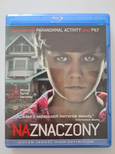 Zdjęcie oferty: NAZNACZONY [BLU-RAY] Lektor, Napisy PL