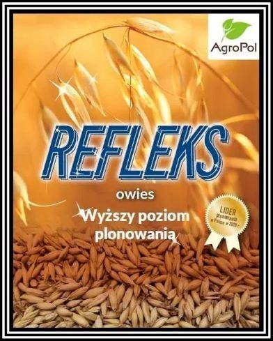 Zdjęcie oferty: Owies REFLEKS - Nasiona Owsa Kwalifikowane 