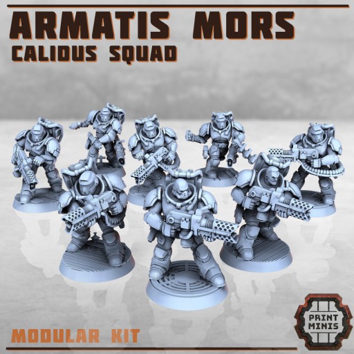 Zdjęcie oferty: Armatis Mors Warriors - Calidus Squad x8