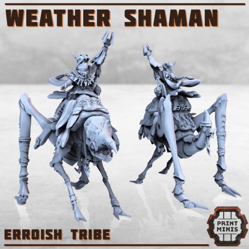 Zdjęcie oferty: Weather Shaman - Erroish People od Print Minis