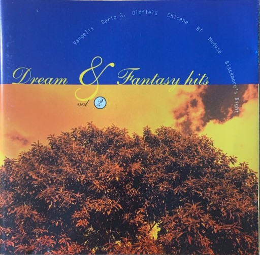 Zdjęcie oferty: Dream & fantasy Hits Vol. 2