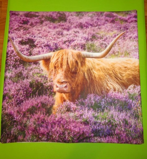 Zdjęcie oferty: Poszewka na poduszkę krowa bydło szkockie Highland