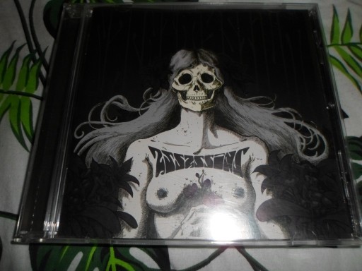 Zdjęcie oferty: Nachtmystium - Assassins - black meddle part I