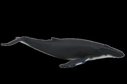 Humbak Figurka Animal Planet Figurki Zwierząt