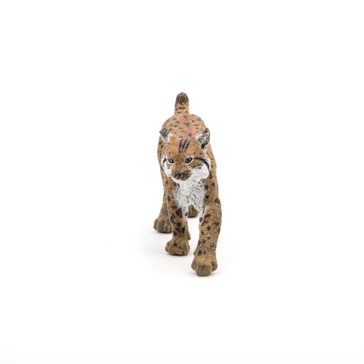 RYŚ - Lynx - PAPO - 50241