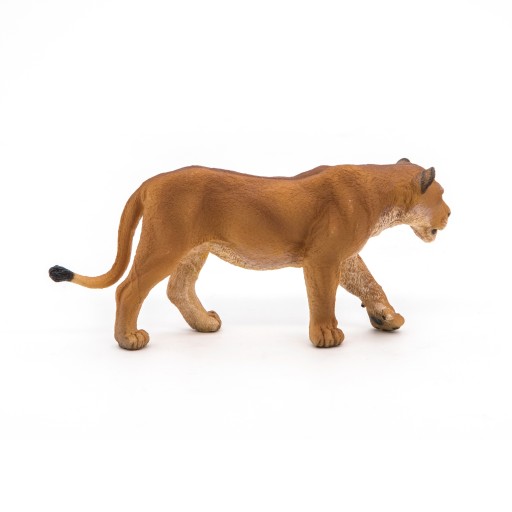 LWICA - Lioness - PAPO - 50028