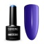 Nastia 5ml