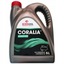 Kompresorový olej Orlen Oil Coralia L-DAA 100 5 l