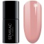 CORAL 7ml