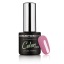 Cosmetics Zone