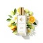 - 60ml